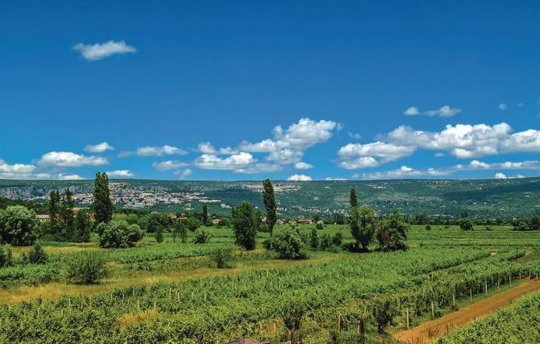 Villa Olea Zmijavci Dış mekan fotoğraf