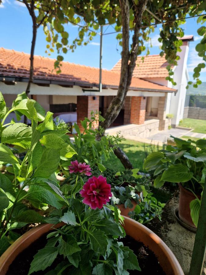 Villa Olea Zmijavci Dış mekan fotoğraf