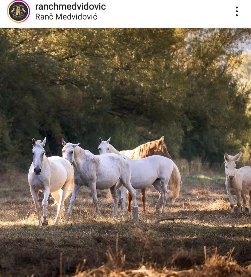 Villa Olea Zmijavci Dış mekan fotoğraf